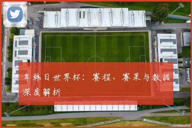 年韩日世界杯：赛程、赛果与数据深度解析